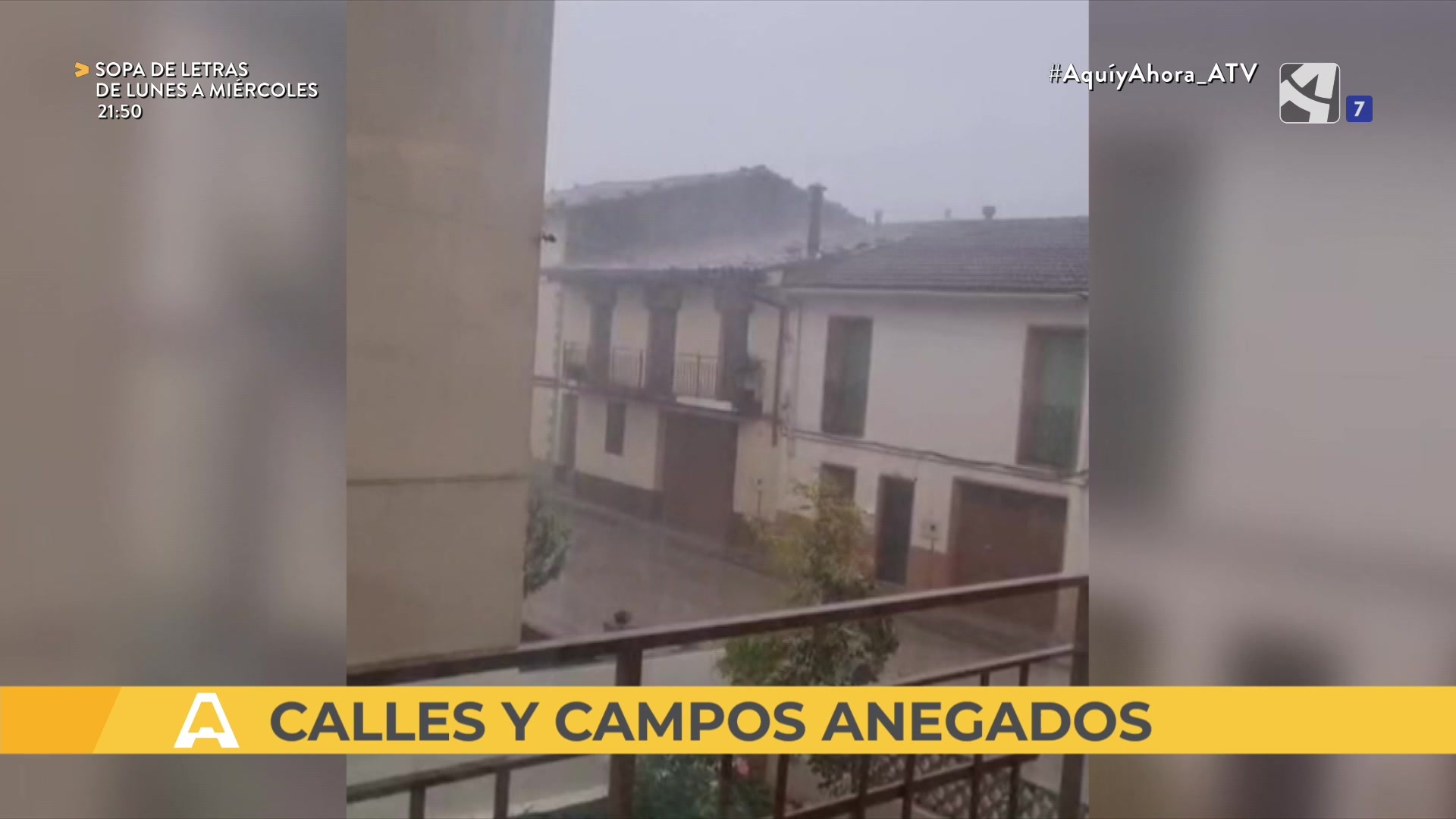 Martes, 19 de Agosto - 19/08/2025 11:00