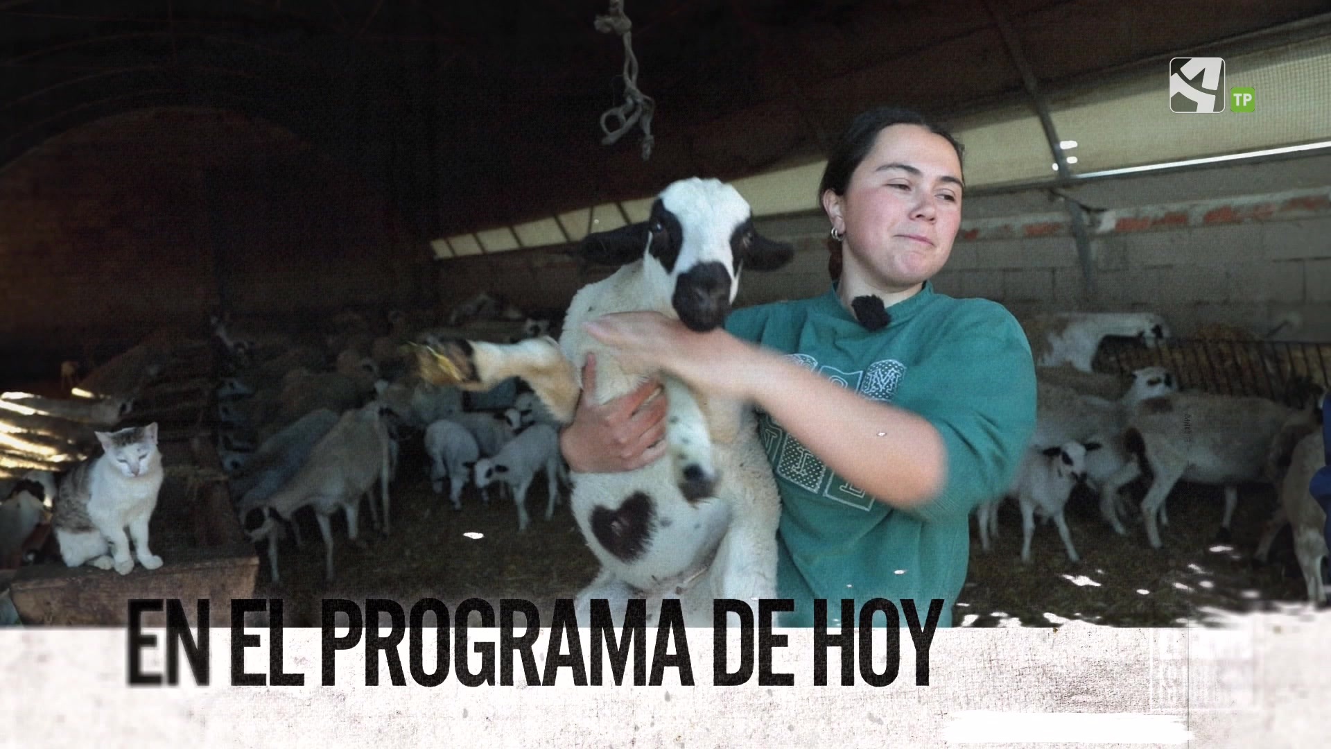 Jueves, 22 de Mayo - 22/05/2025 15:20