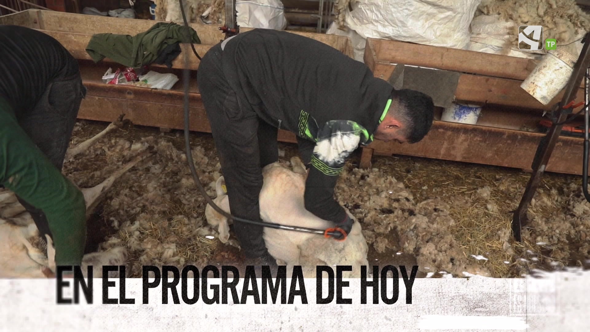 Lunes, 12 de Mayo - 12/05/2025 15:15