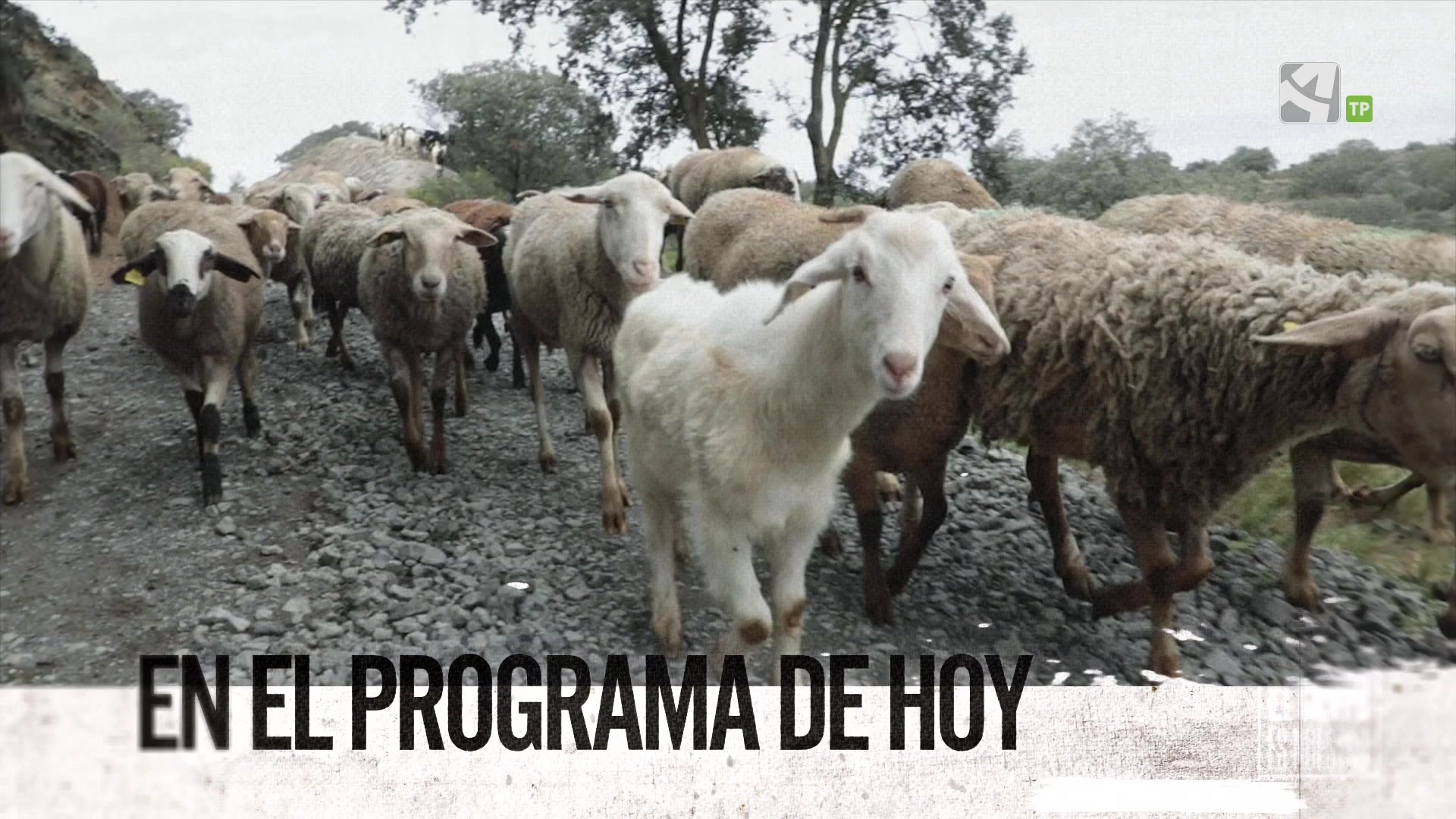 Lunes, 5 de Mayo - 05/05/2025 15:12