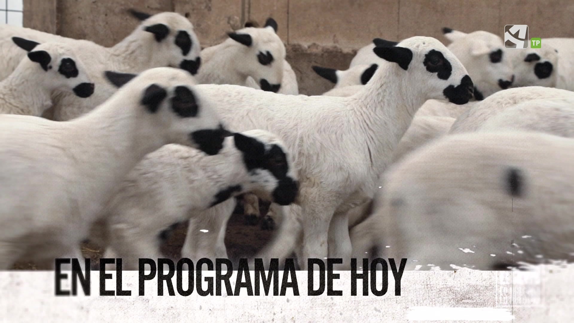 Miércoles, 14 de Mayo - 14/05/2025 15:15