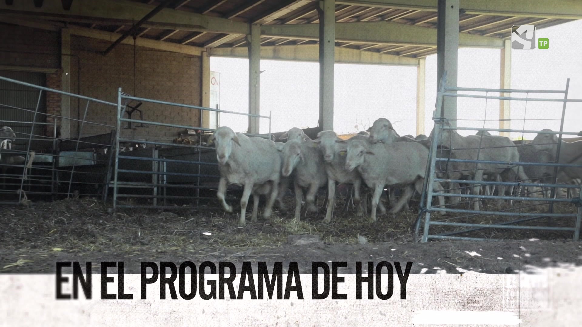 Viernes, 9 de Mayo - 09/05/2025 15:14