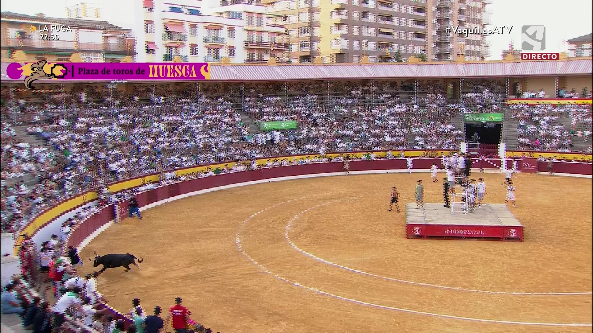 Vaquillas Feria Taurina de la Albahaca 2025 - 13/08/2025 08:00