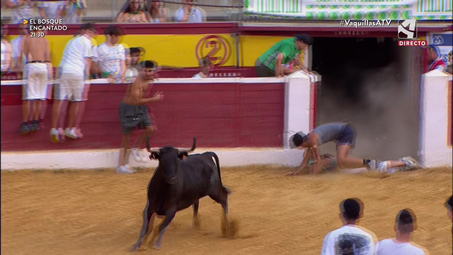 Vaquillas Feria Taurina de la Albahaca 2025 - 15/08/2025 08:00