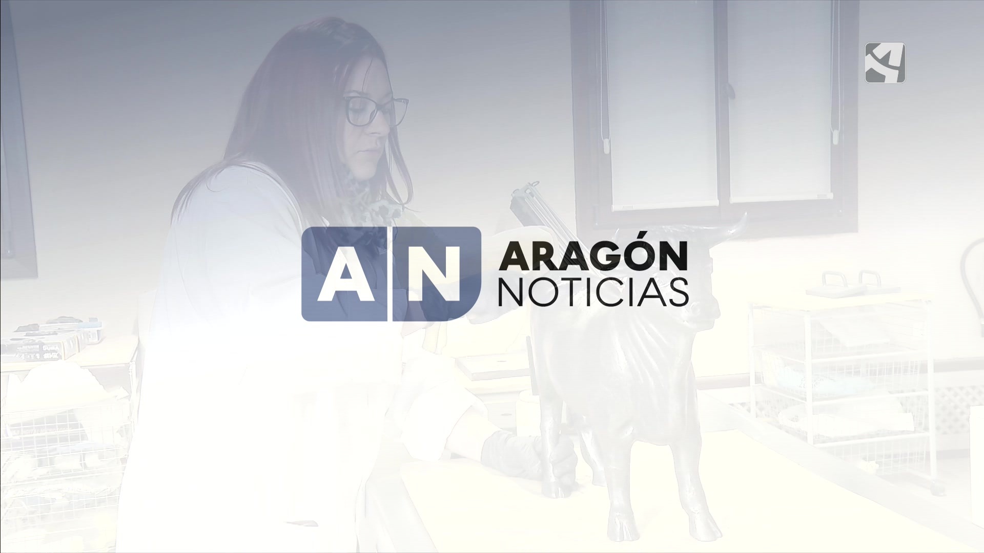 Aragón Noticias 1 - 10/05/2025 14:00
