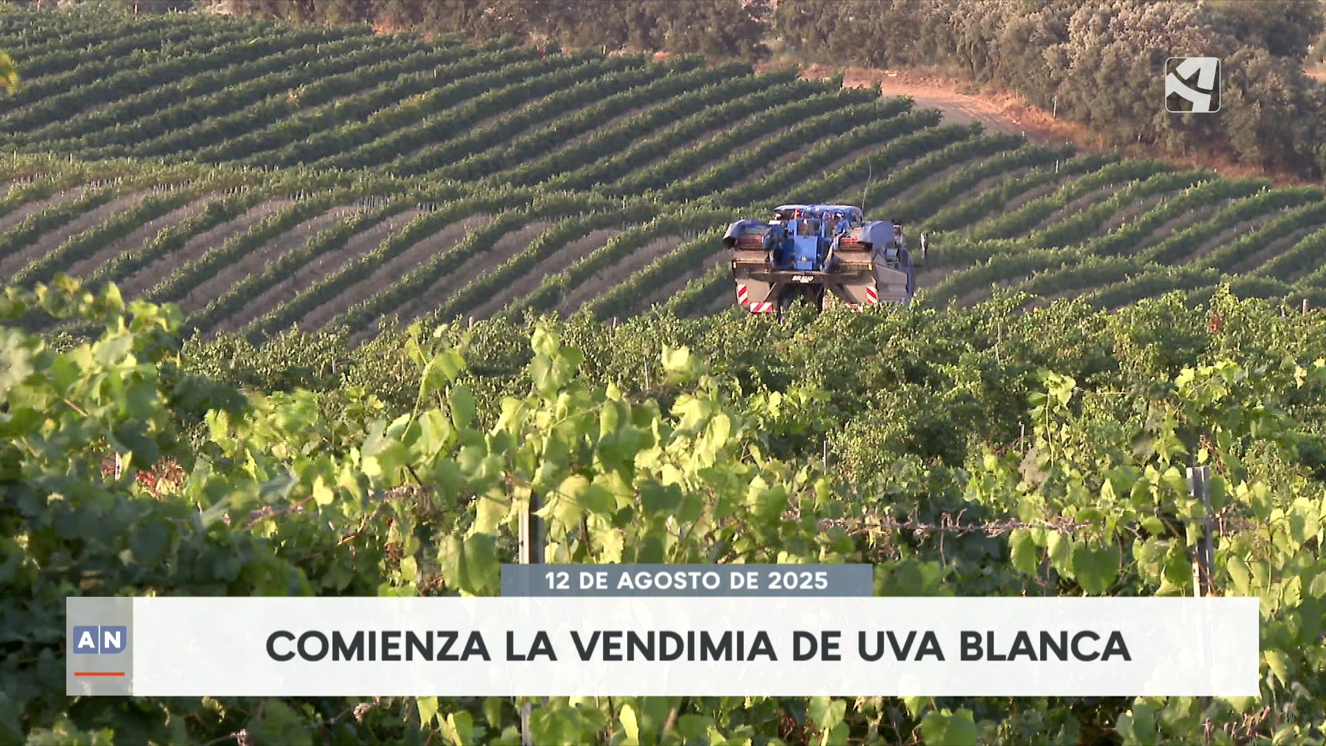 Aragón Noticias 1 - 12/08/2025 14:00
