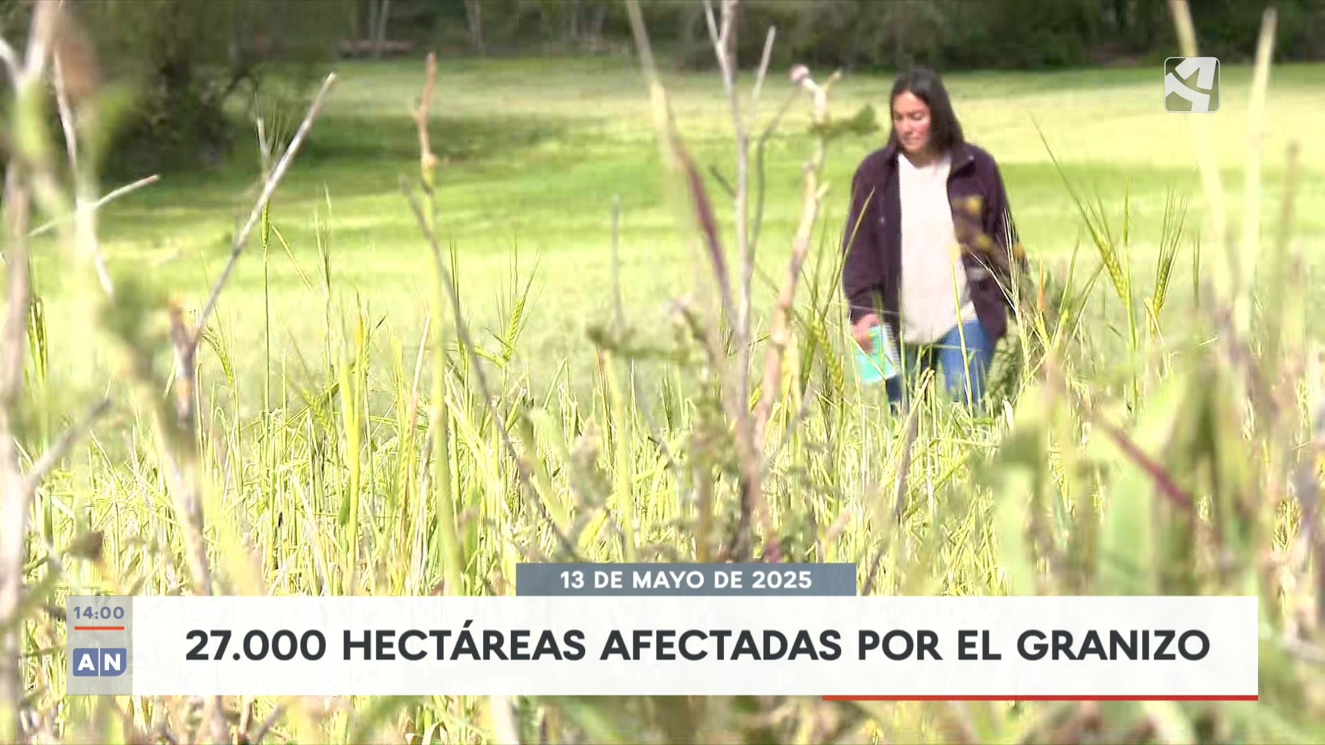 Aragón Noticias 1 - 13/05/2025 14:00