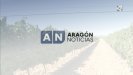 Aragón Noticias 1 - 24/07/2022 14:00