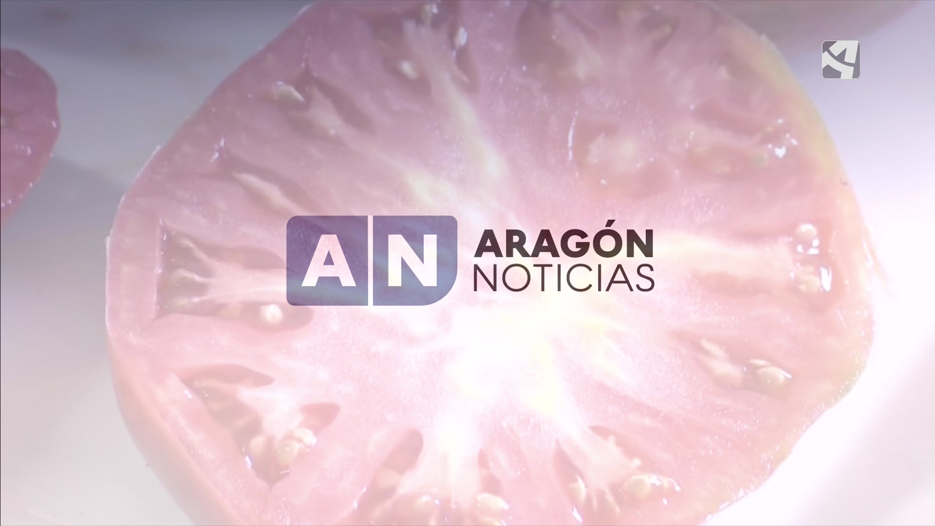 Aragón Noticias 2 - 13/08/2025 20:30