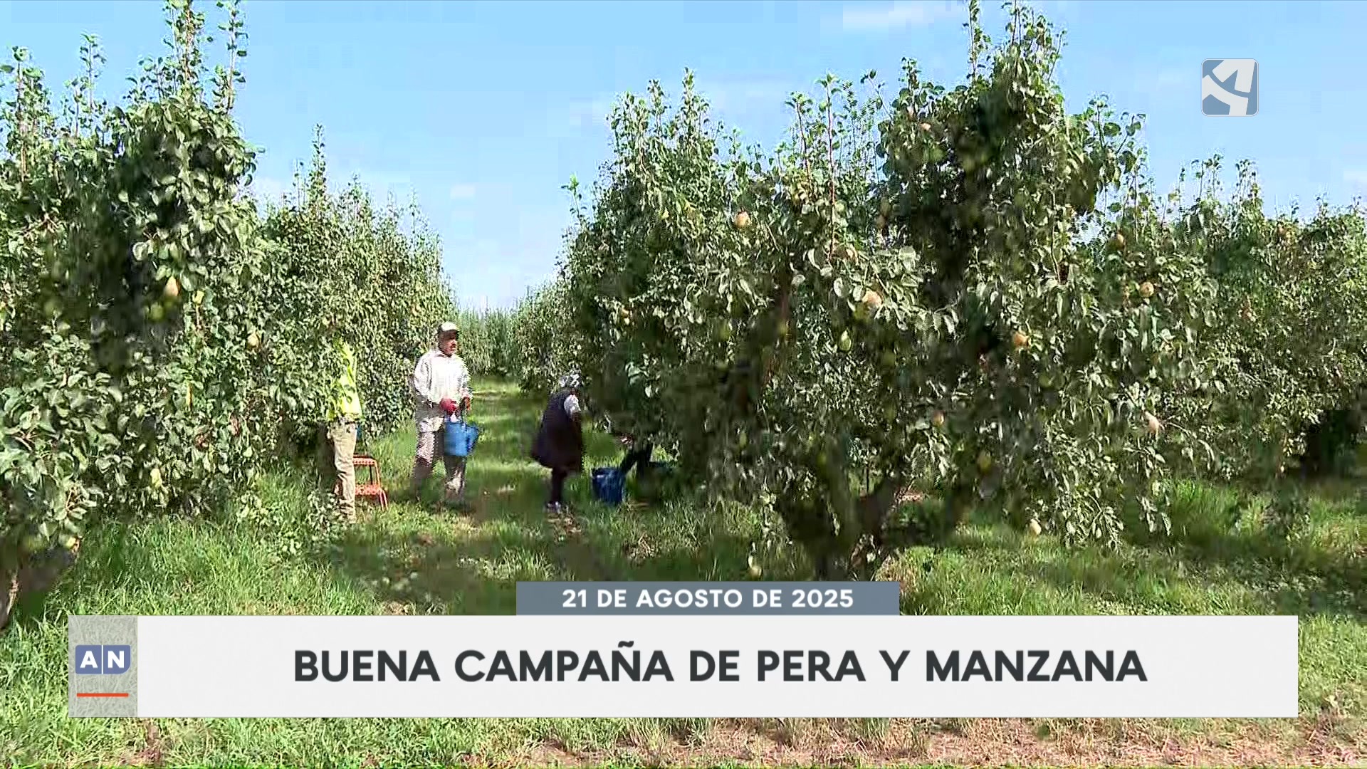 Aragón Noticias 2 - 21/08/2025 20:30