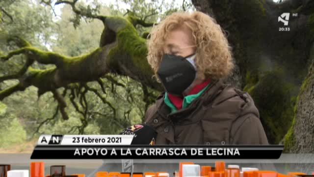 Aragón Noticias 2 - 23/02/2021 20:29