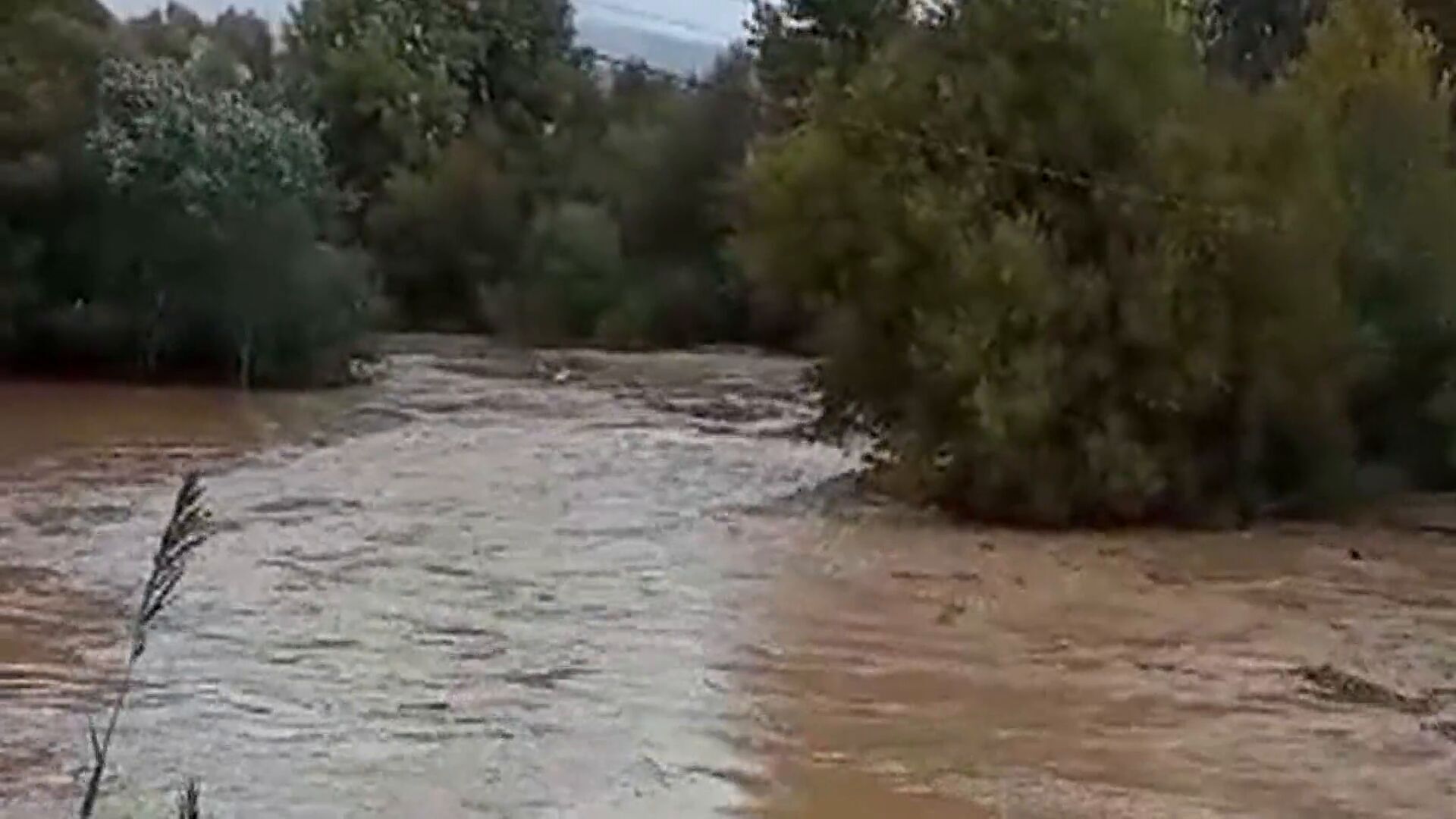 Noviembre 2024 (14-11-24) Rescatan a 6 personas en un tejado y a varios niños de un colegio tras el desborde del río Guadiaro, en Cádiz