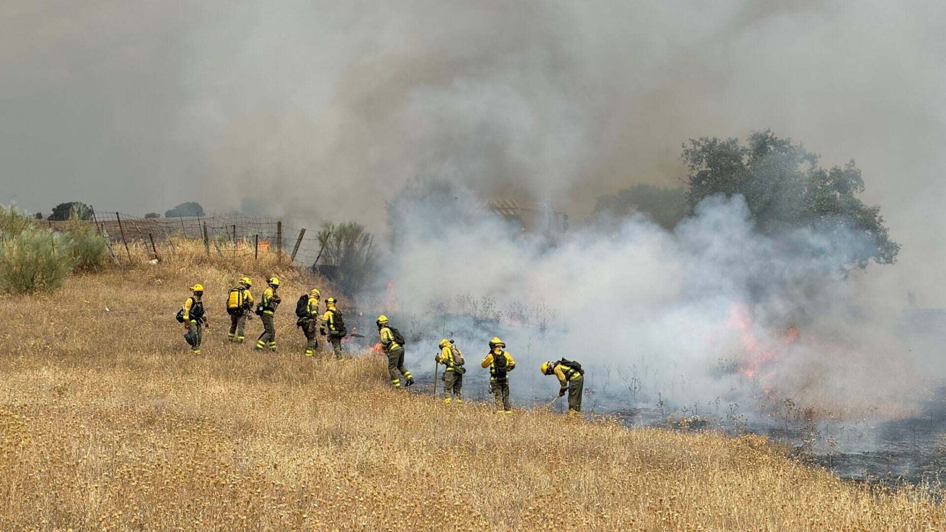 Agosto 2024 (23-08-24) Estabilizado el incendio forestal de Tres Cantos que ha arrasado 250 hectáreas y obligado a desalojar varias viviendas