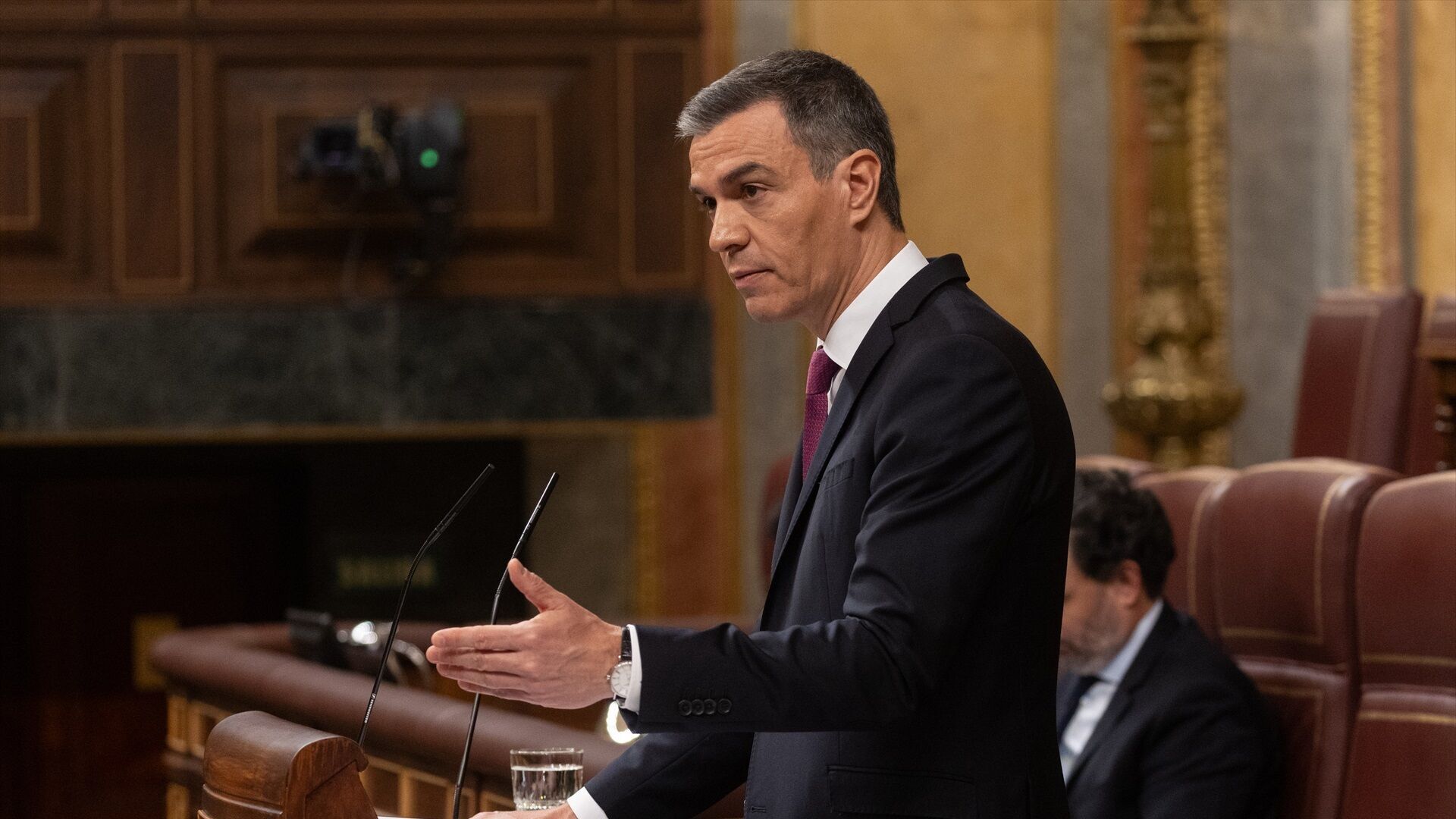 Julio 2024  (17-07-24) Pedro Sánchez expone en el Congreso el plan de regeneración democrática