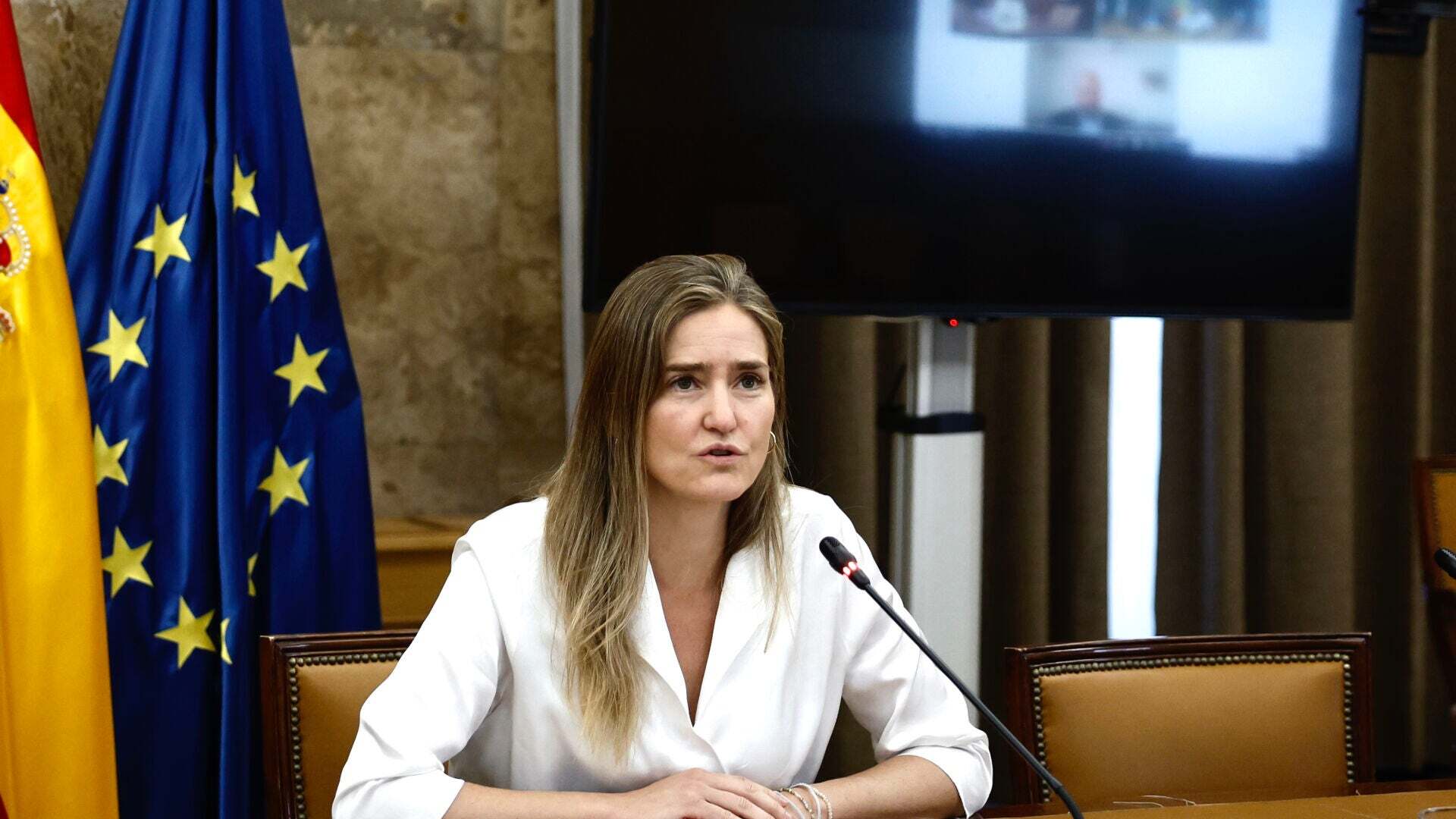 Mayo 2025 (04-05-25) Semana intensa para la ministra de Transición Ecológica con varias reuniones para conocer las causas del apagón
