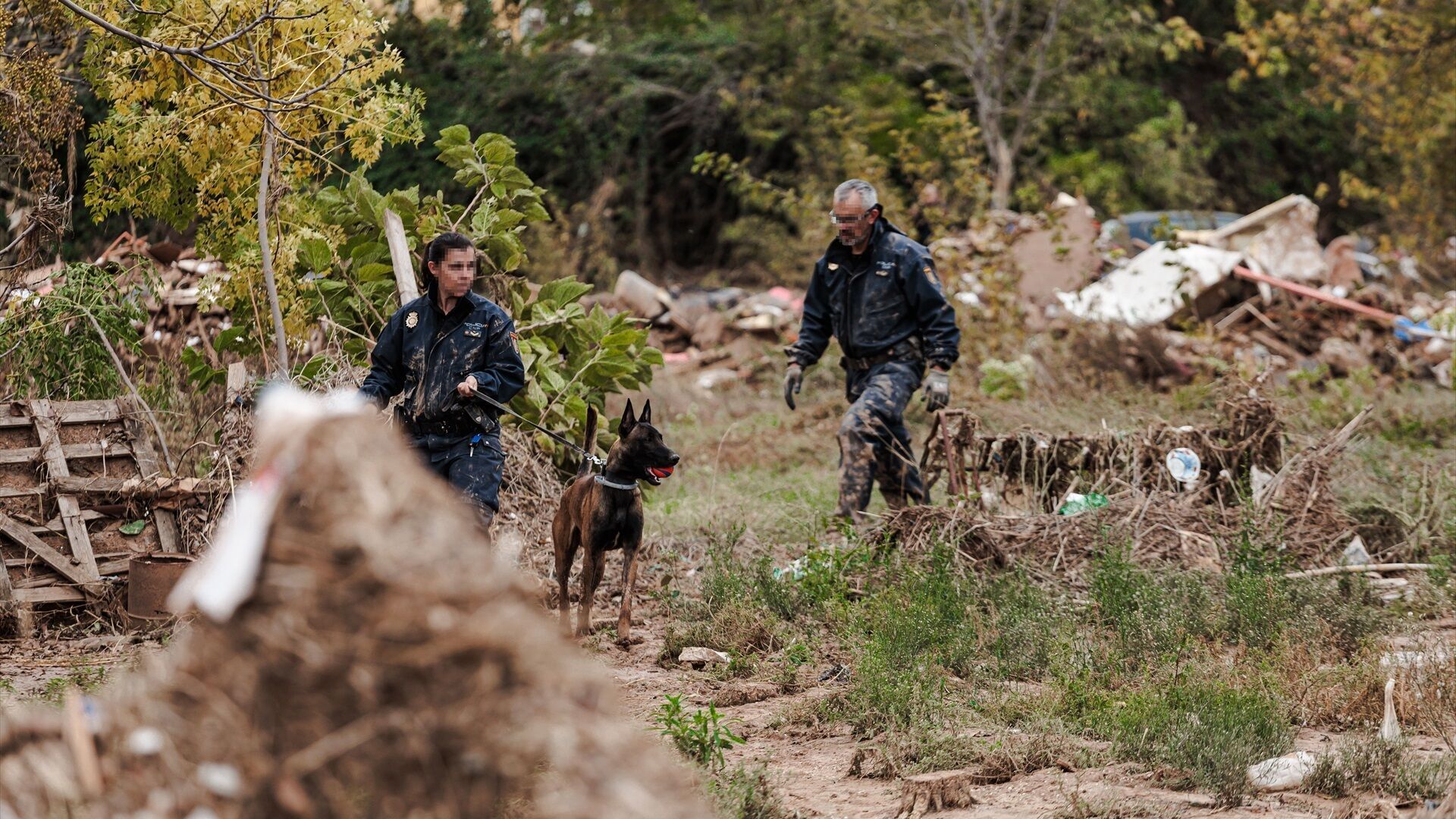 Noviembre 2024 (16-11-24) Encuentran un cuerpo en un descampado de Sedaví durante la búsqueda de desaparecidos por la DANA