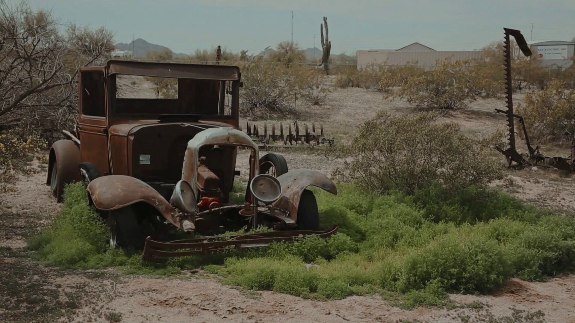 Temporada 19 T19 - C14: Adicta a los mercadillos