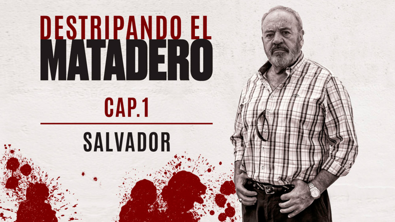 Temporada 1 Capítulo 1: Salvador