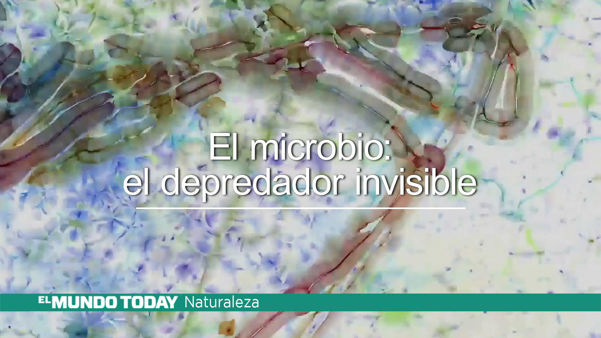 Temporada 1 El microbio: el depredador invisible