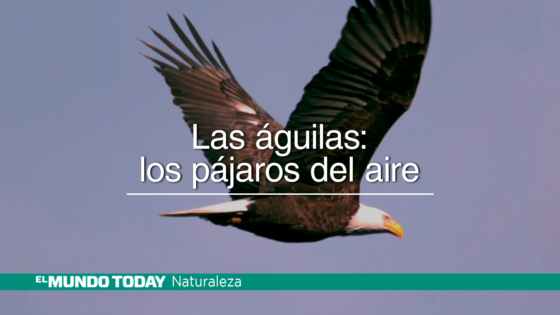 Temporada 1 Las águilas: los pájaros del aire