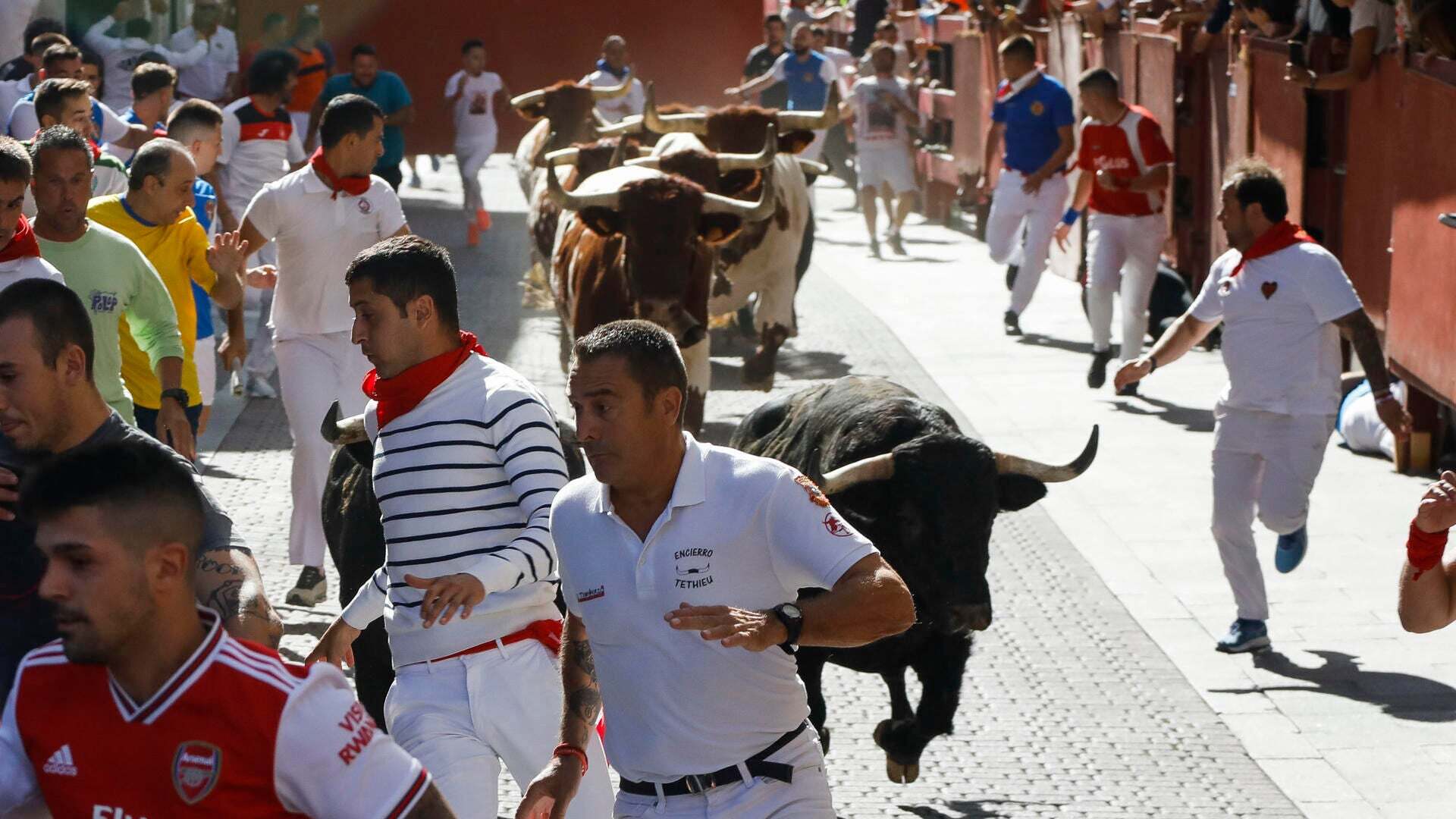 2023 Encierro 29-08-23