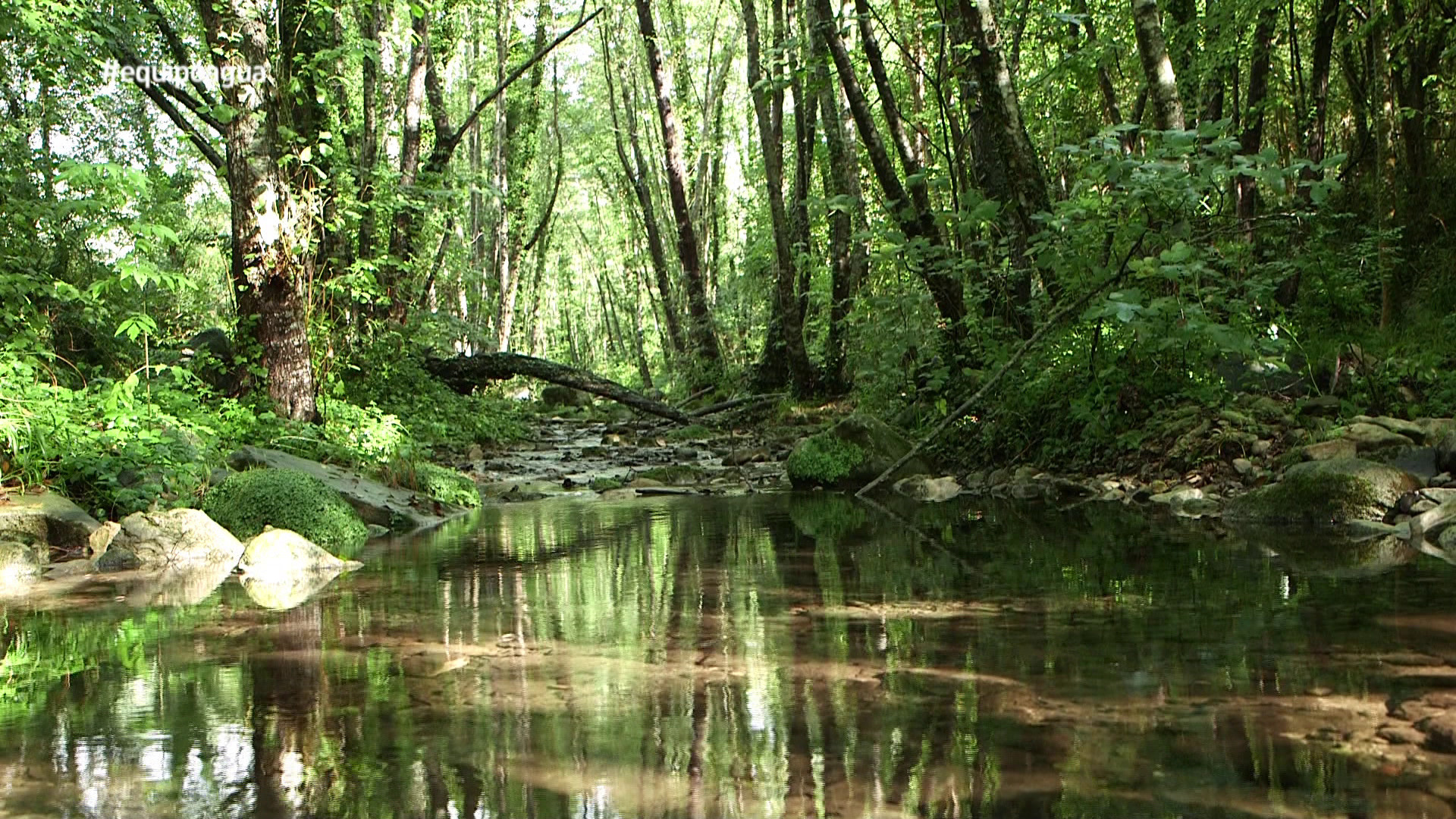 Temporada 8 El agua, a examen