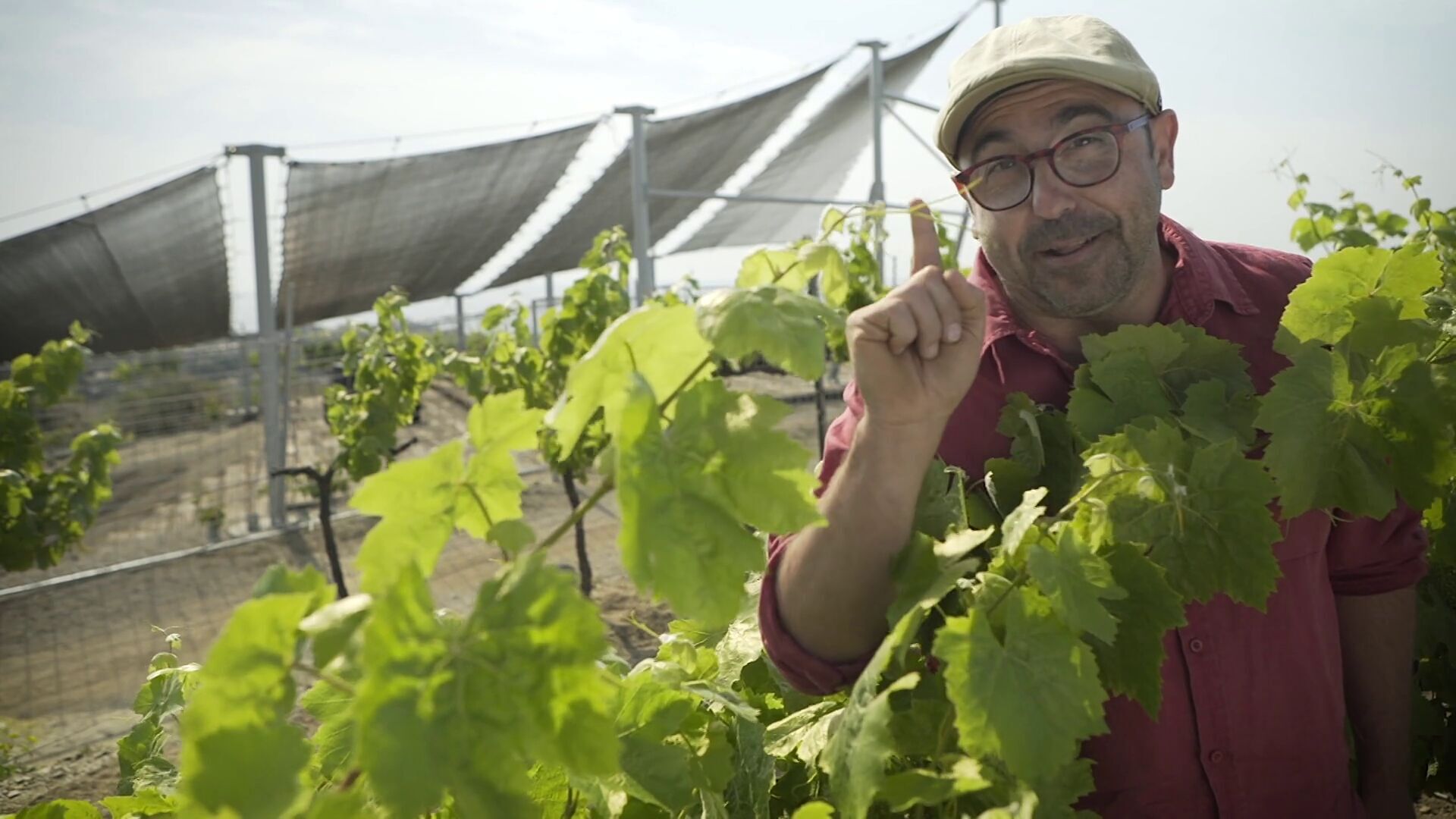 Temporada 1 T1 - Capítulo 5: Jugant a fer de sommeliers