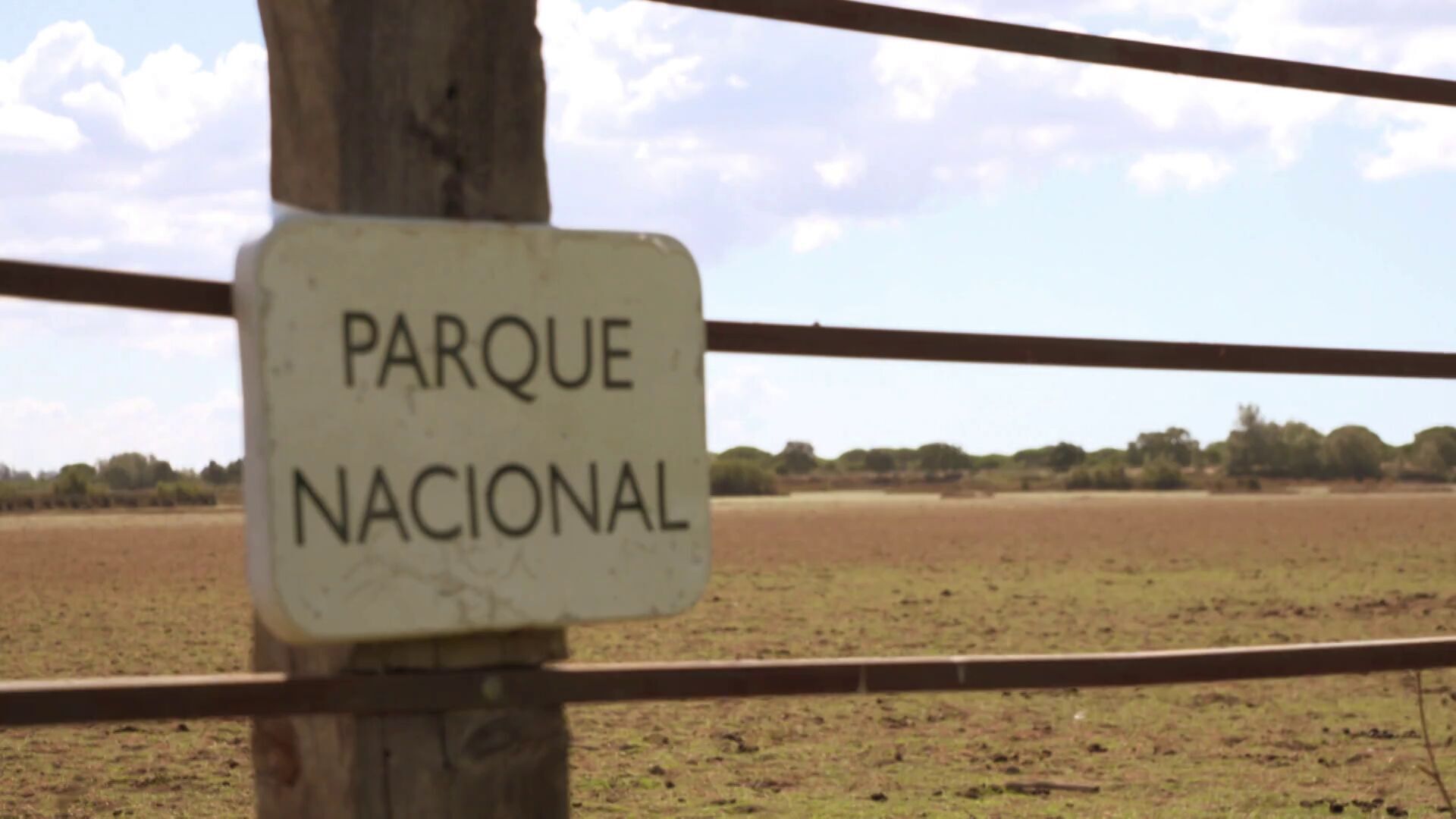 Temporada 12 Doñana se seca. Y tú también