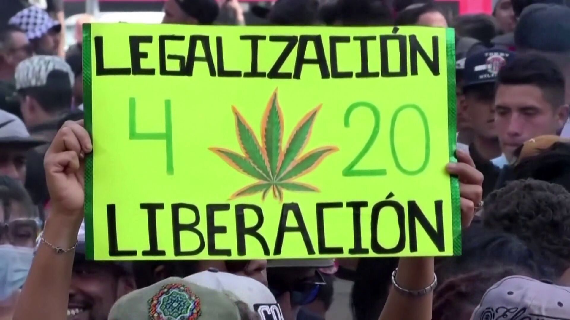 Temporada 13 ¿Un programa sobre legalizar las drogas? No alucines