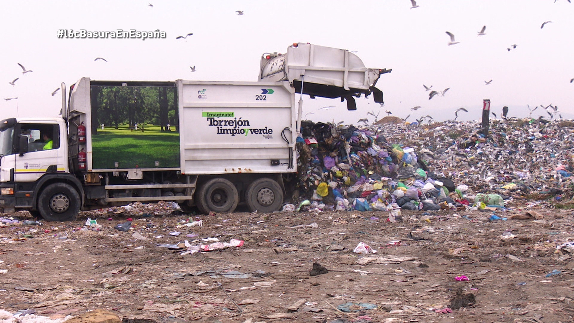 Temporada 8 Basura en España: un problema al cubo