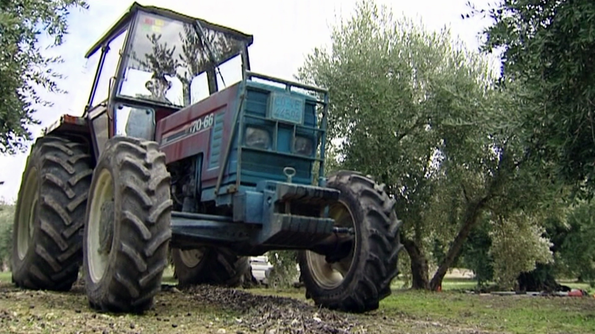 Temporada 9 Réquiem por un campesino español