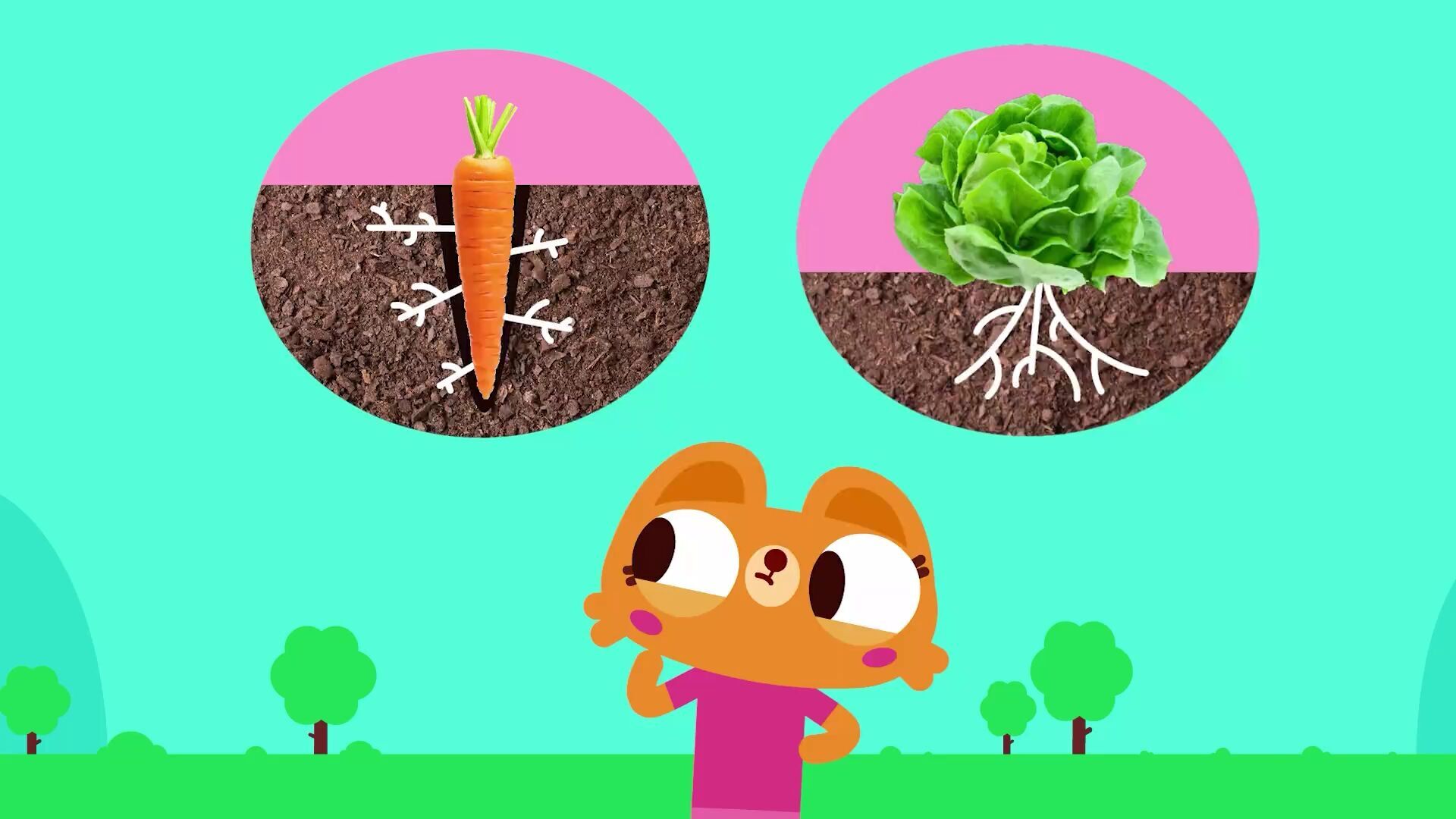 Temporada 1 Capítulo 36: Curiosity Time with Libby: Veggie Power