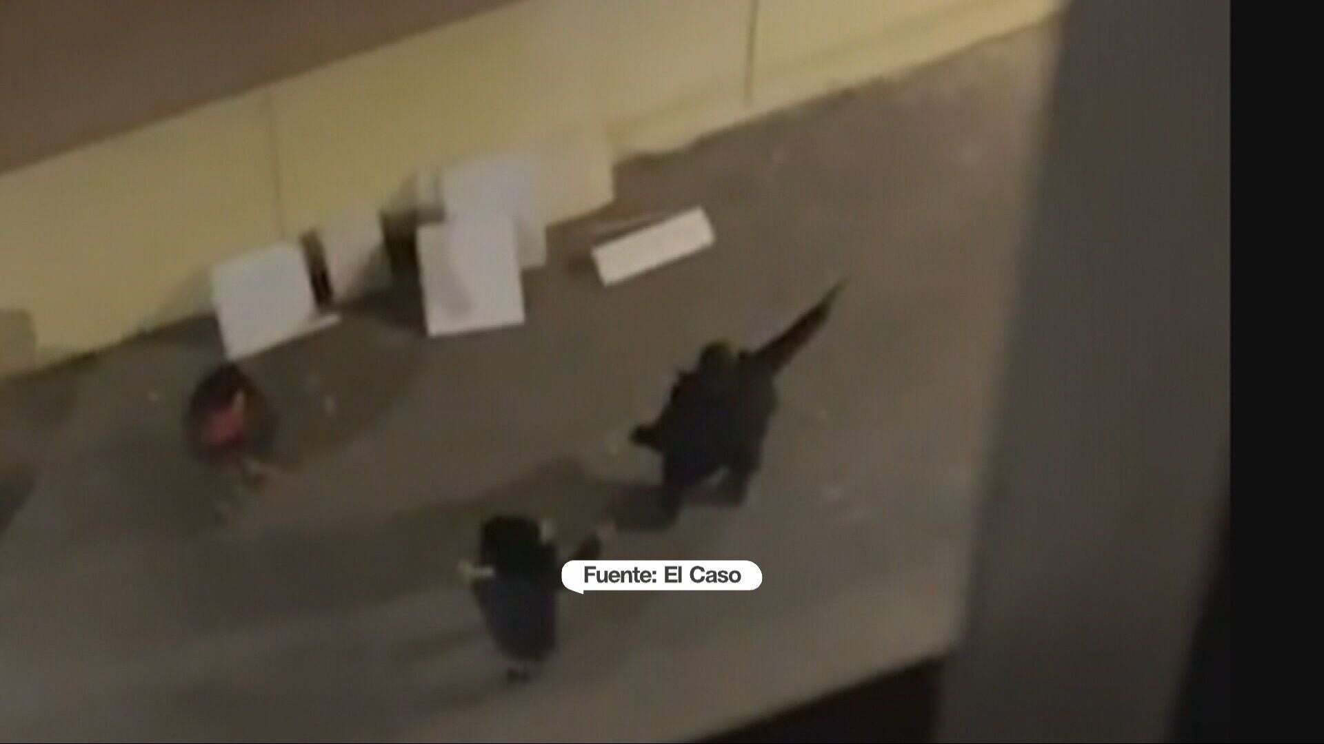 Enero 2025 (08-01-25) Un intenso tiroteo entre dos clanes deja a una persona herida en el barrio de La Mina, en Barcelona