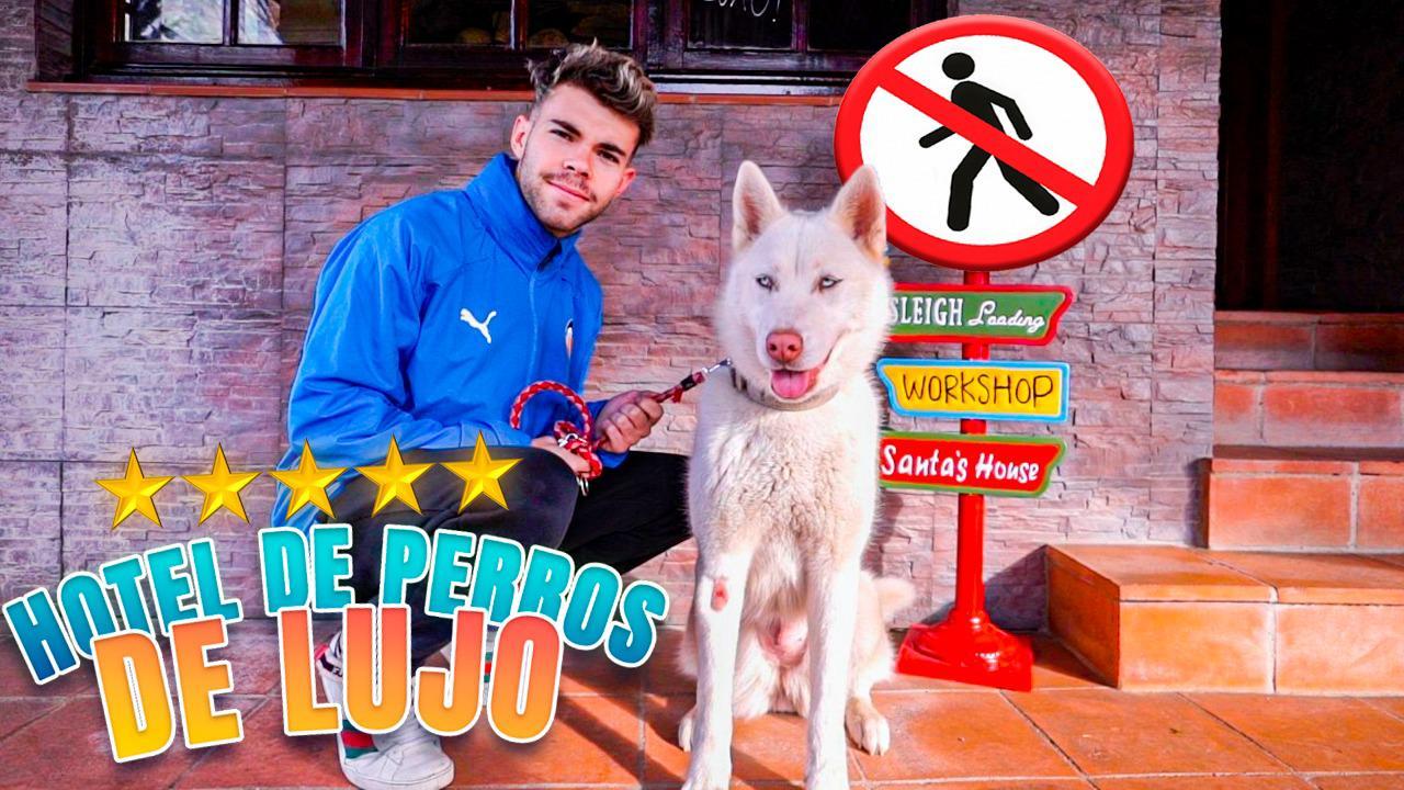 T6 Squad Así es un hotel de lujo para perros | Salva