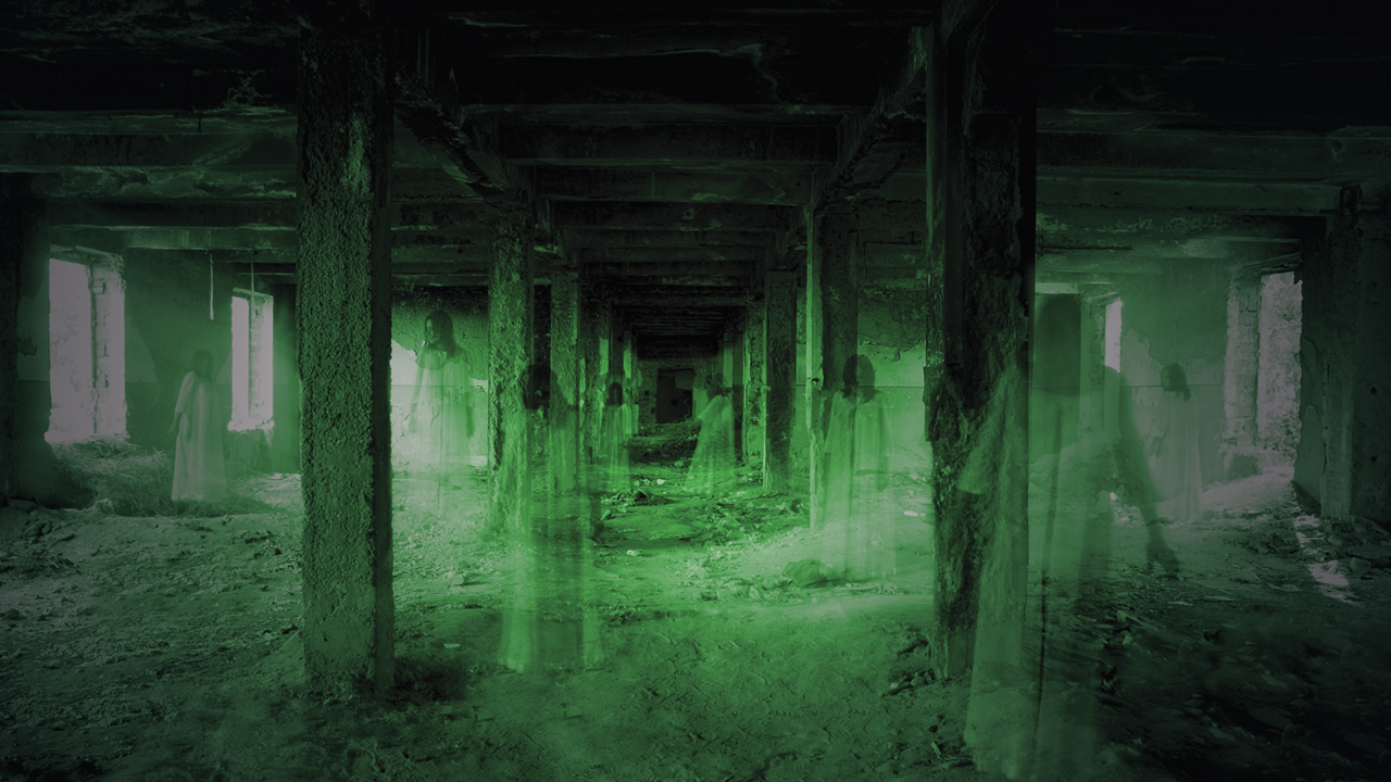 Testigos De Lo Paranormal Ver Online Gratis