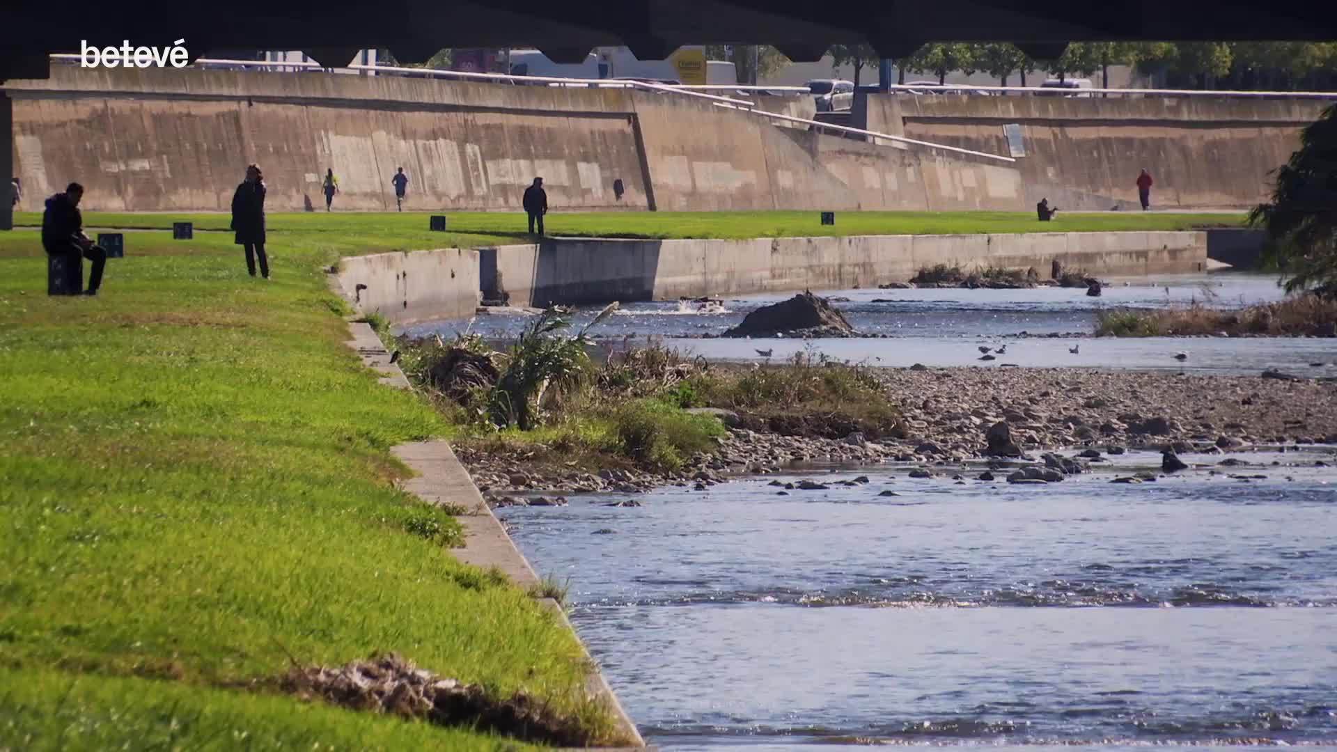 22 de Novembre de 2019 La re-naturalització del parc fluvial del Besòs