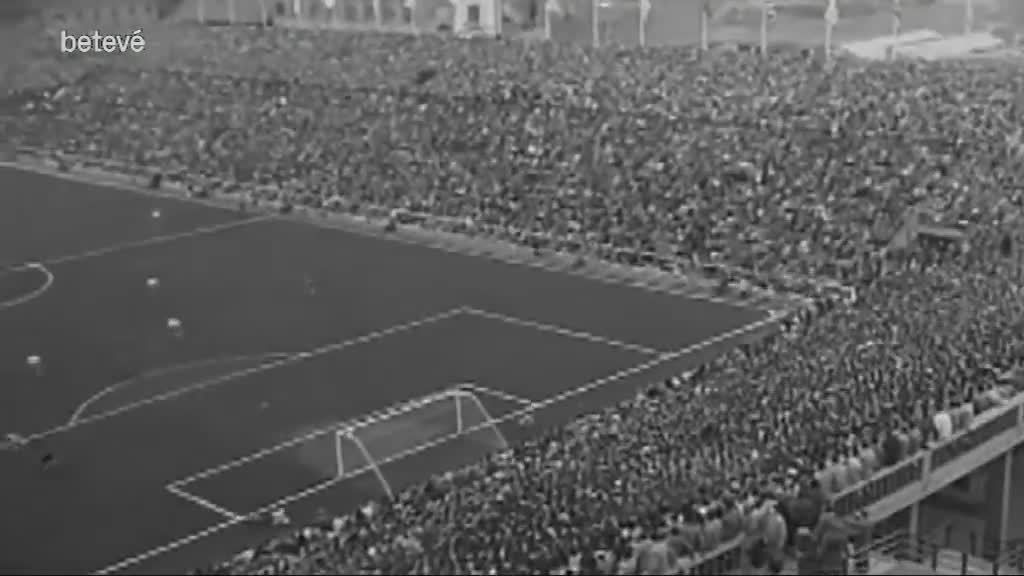 15 de Juny de 2020 La porteria