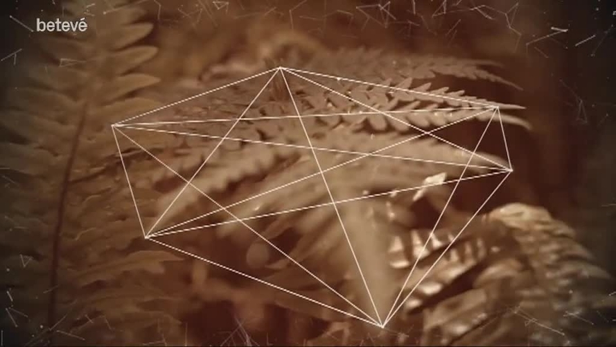 17 de Març de 2018 Terrícoles: Isabel Monteagudo, agent literària