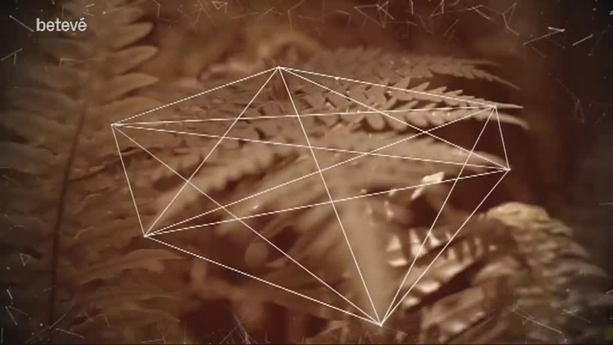 23 de Febrer de 2018 Terrícoles: Maravillas Rojo, presidenta d’Abacus