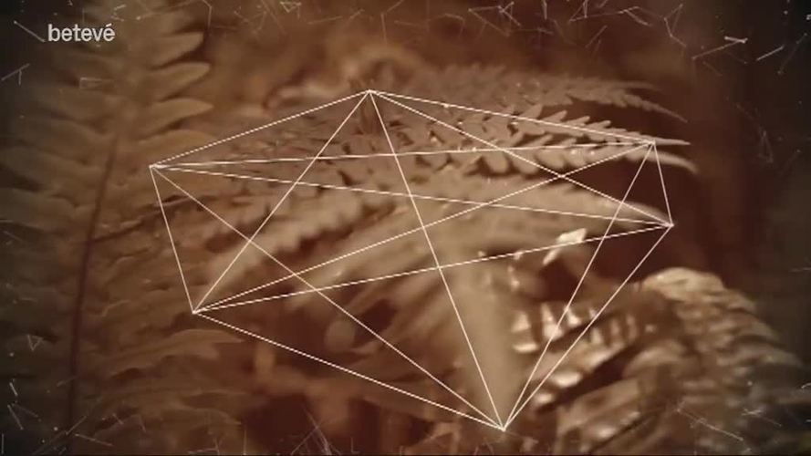 24 de Febrer de 2018 Terrícoles: Miquel de Palol, poeta i escriptor