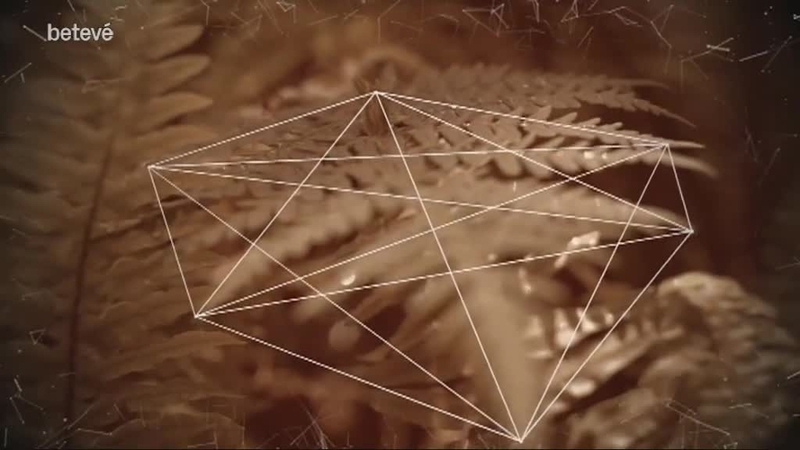 25 de Gener de 2018 Terrícoles: Pep Bernadas, antropòleg, cofundador d’Altaïr