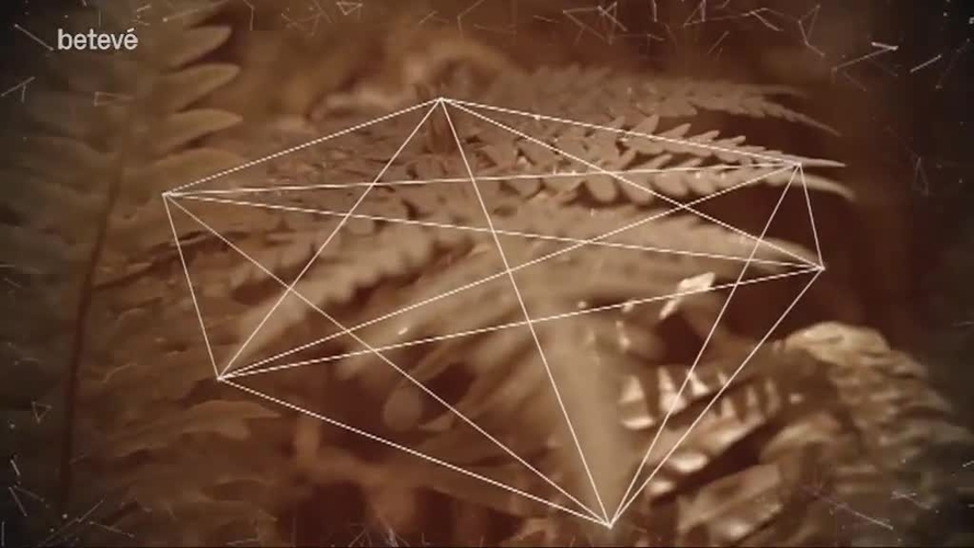 3 de Març de 2018 Terrícoles: Roser Capdevila, dibuixant