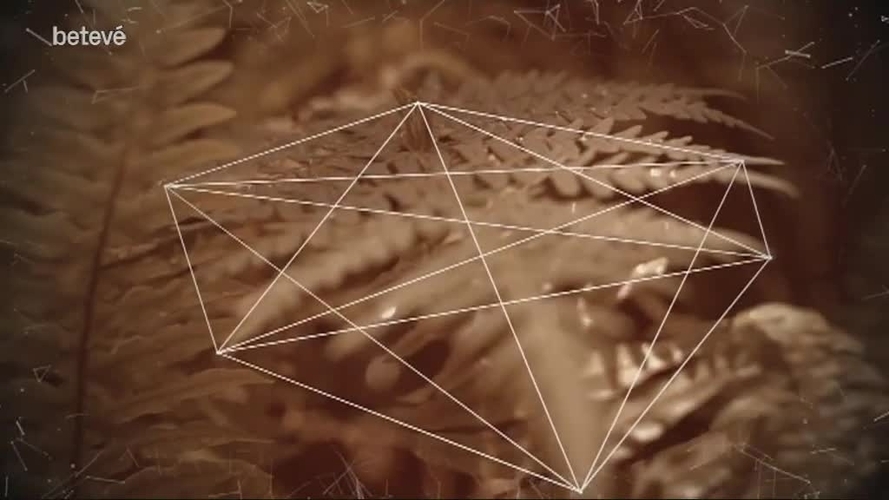 4 d'Abril de 2018 Terrícoles: Rosa Suriñach, programa ONU-Habitat