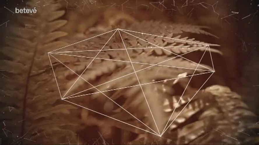 9 de Febrer de 2018 Terrícoles: Genís Roca, expert en estratègia digital