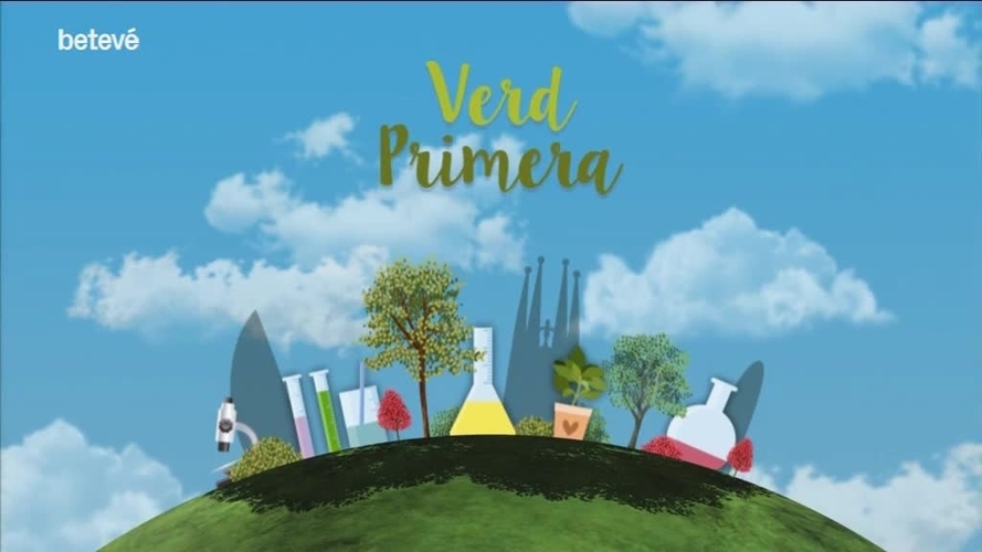 31 de Maig de 2017 Ciència: Els perjudicis del fum del tabac