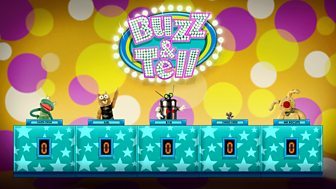 Buzz and Tell | CBeebies | Televisión a la carta