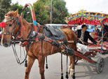 01/06/2016 La serie de Xinjiang-El Tranquilo y Lejano Oasis