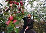 07/05/2016 Viaje por el Sur de Xinjiang Capítulo IV Oasis de Vida