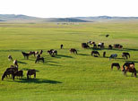 12/08/2015 Más allá del Horizonte-La belleza de la naturaleza