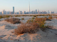 09/11/2016 La Ruta de la Seda El reinicio de una trayectoria Capítulo VI Exploración de los polos del Mundo Parte 1